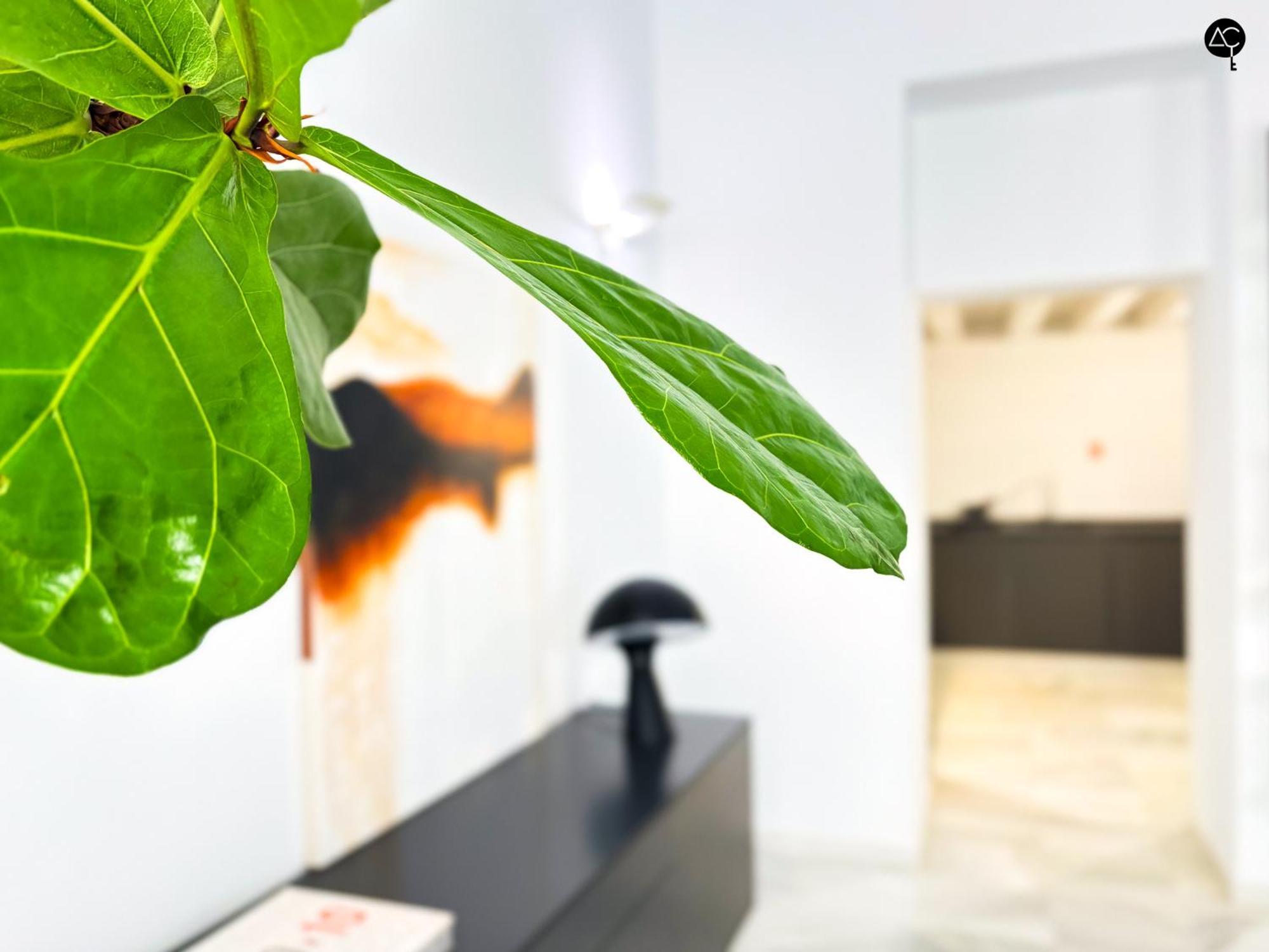 Casa Columela Cadiz Grupo Ac Gestionアパートメント エクステリア 写真